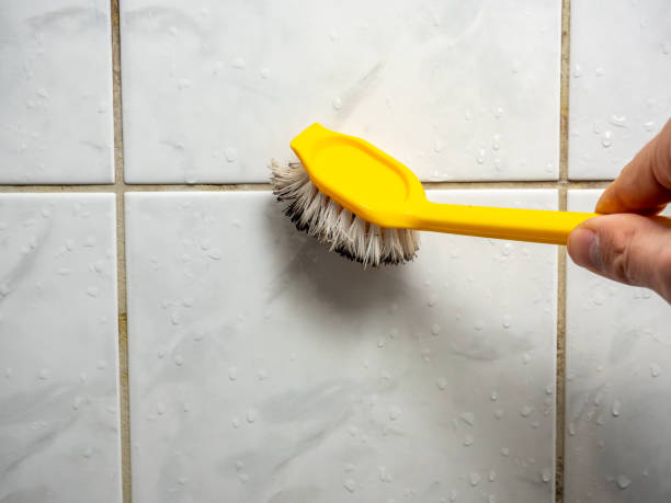 Certified Mold Removal in Marcus, IA