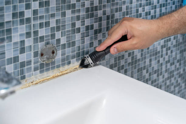 Best Certified Mold Removal  in Marcus, IA