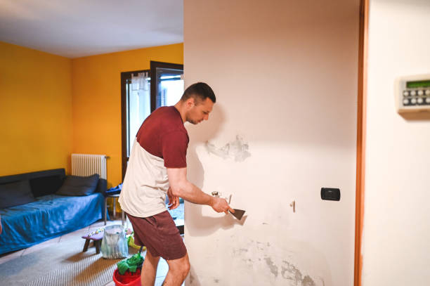 Best Water Damage Restoration  in Marcus, IA